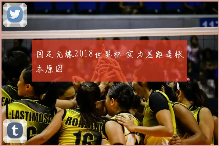 国足无缘2018世界杯 实力差距是根本原因