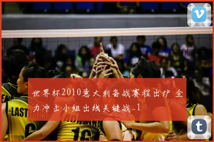 世界杯2010意大利备战赛程出炉 全力冲击小组出线关键战_1